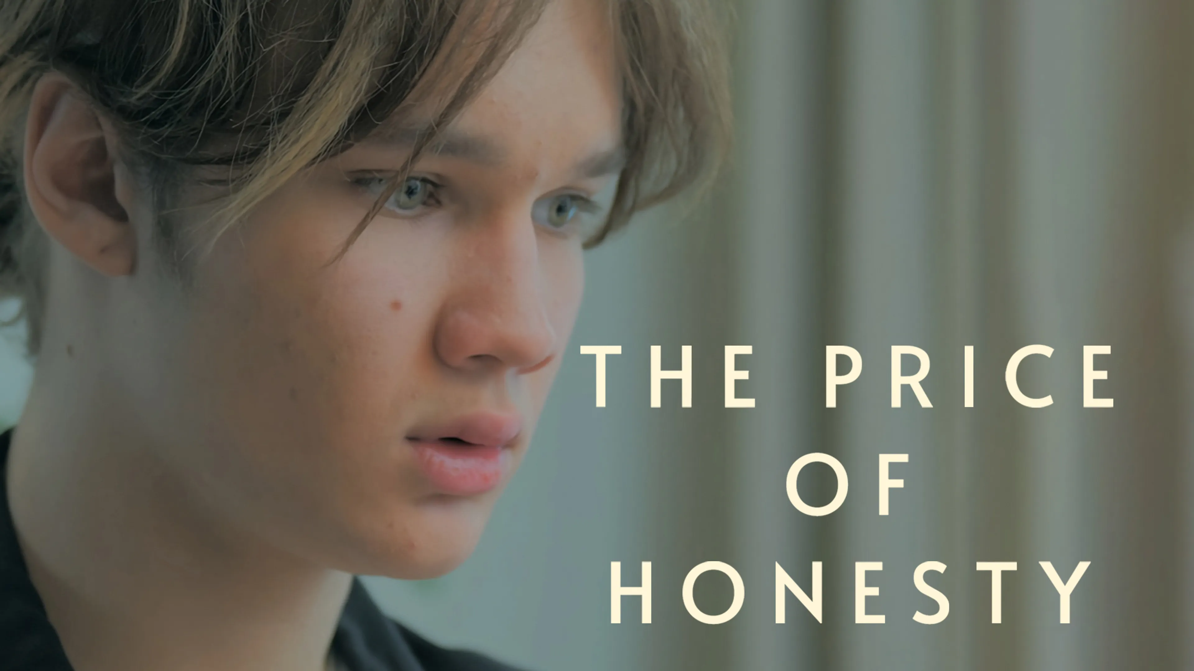 The Price Of Honesty poster
